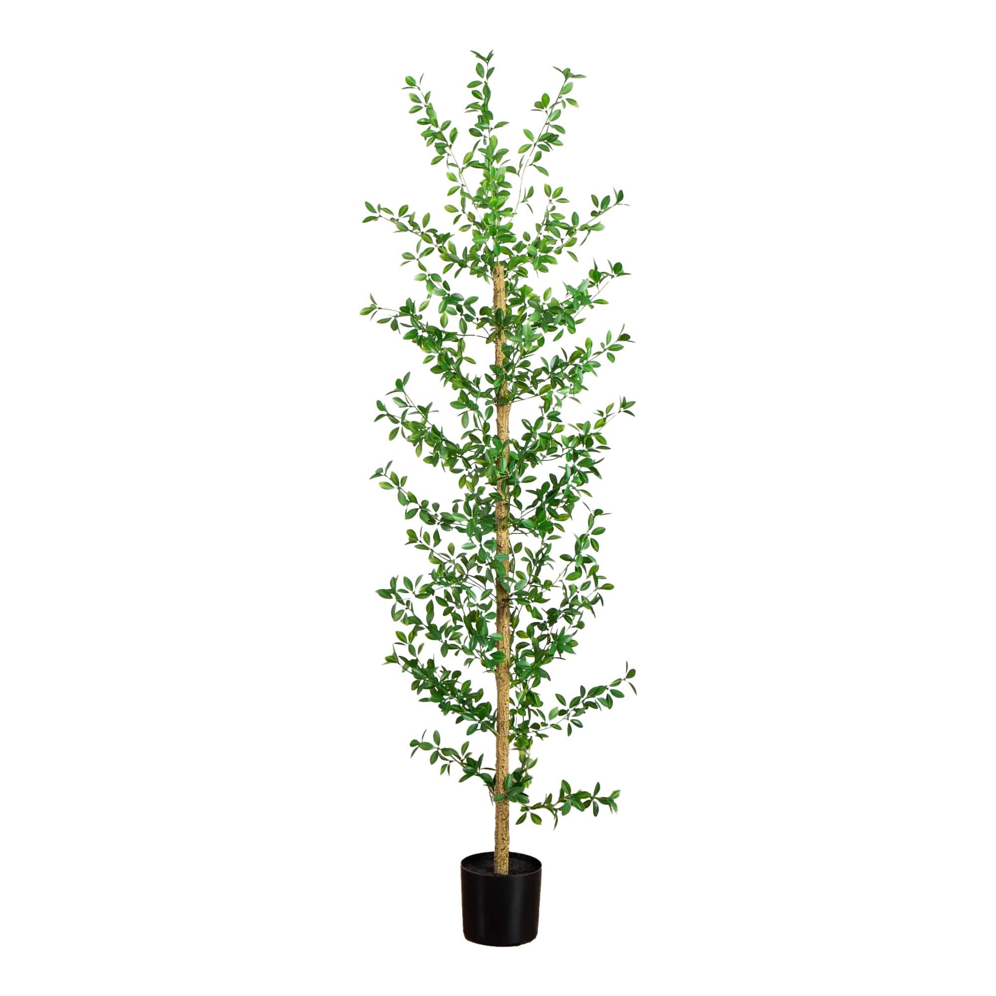 7ft. Artificial Shady Lady Black Olive Tree
